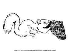 Ausmalbild-Eichhörnchen-B 12.pdf